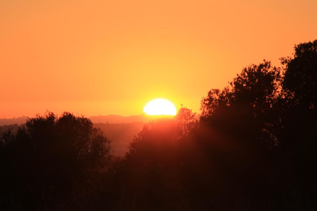 Sunshine Ξενοδοχείο Αλμπουφέιρα Εξωτερικό φωτογραφία